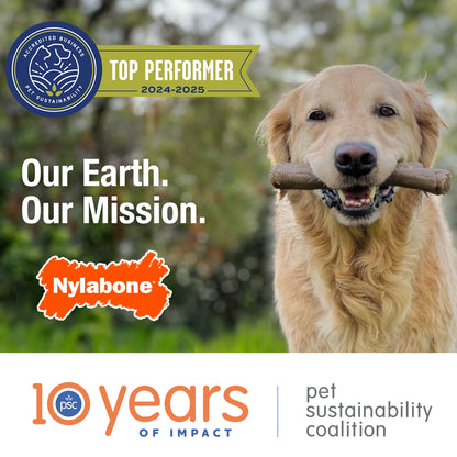 Power Chew Original Bone Dog Chew Toy Large (1 Count)