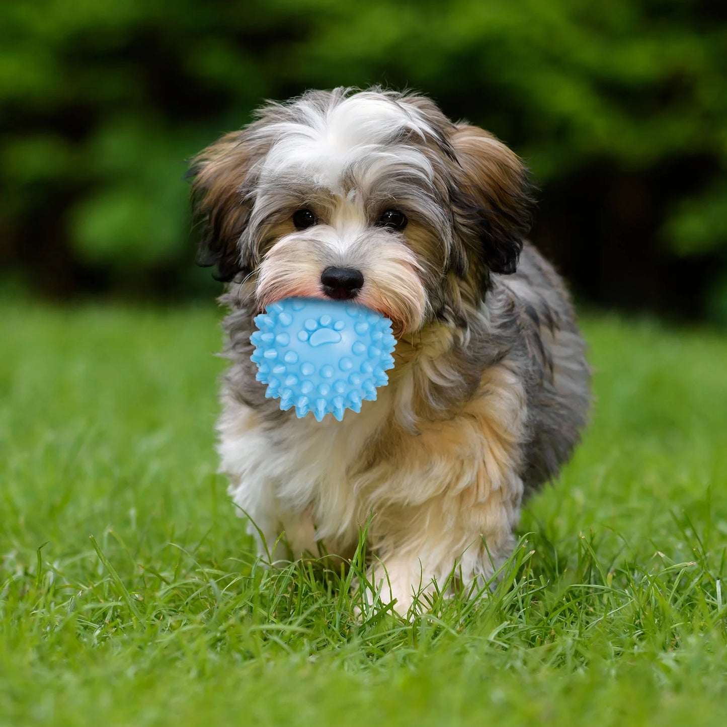 7 Pcs Puppy Chew Toys for Teething Cleaning, Teething Rubber Toys for Puppy, Interactive Dog Soothes Gums and Pain Lessens Toys, Dog Toys with Rope for Aggressive Chewers Small Dogs(Blue)